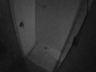 Casa Salsa Bathroom 7
